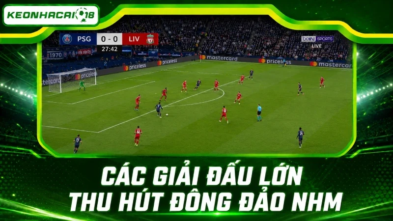 Các giải đấu lớn luôn thu hút đông đảo người hâm mộ trong nước lẫn quốc tế